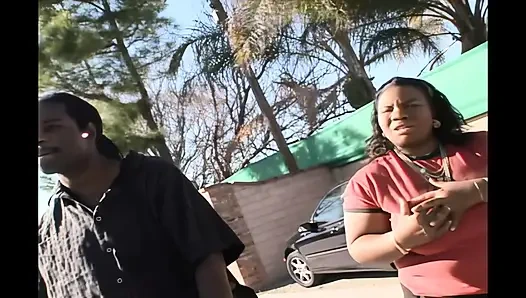 Queen of Wild Nights