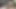 الملاك الآسيوي 24982