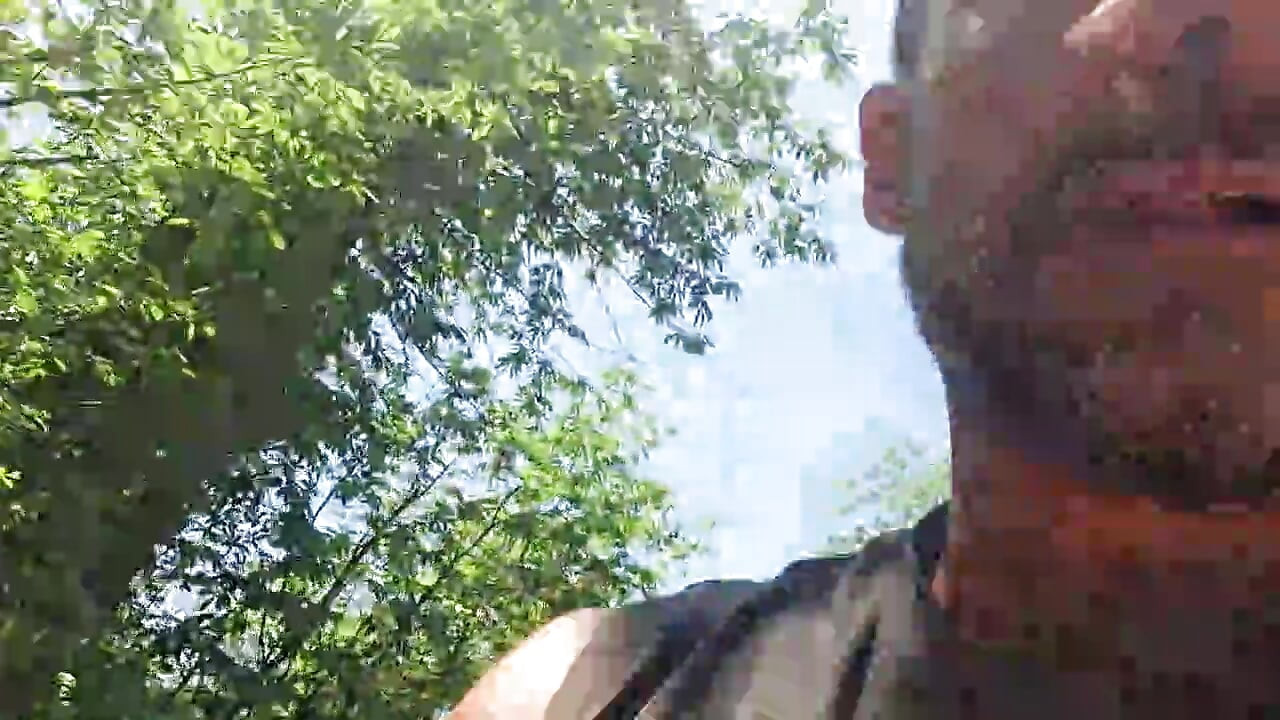 at the edge of a forest path, Remi06cam4
