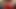 Boxer Teen bekommt Ihren Arsch gestopft