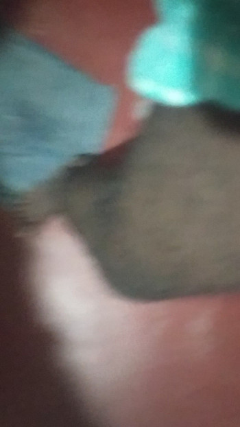 Hi my ass