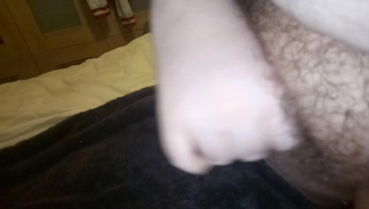 Wanking and cumming