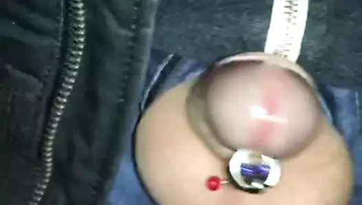 Minipimmel