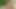 Blonde On Blonde - Episode 1
