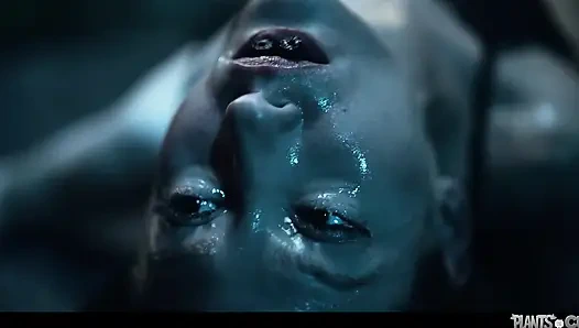 Plants Vs Cunts Vol. 11