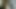 Typ wichst seinen Schwanz und fingert seinen Arsch