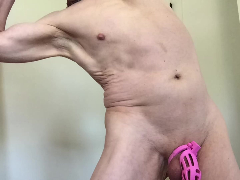 Sissyfagdion somg