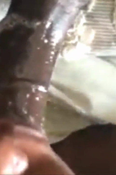 Zijn lul slurpen maakte hem gek! op een mooie zonnige dag
