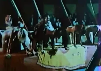 拧在屏幕上（复古 1975）