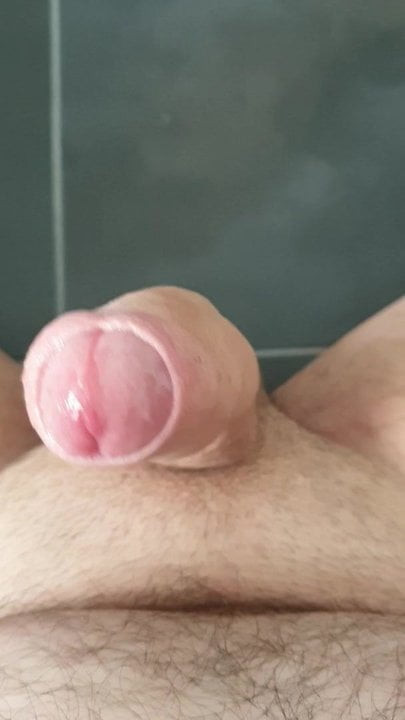 Ruined for realcutehamster