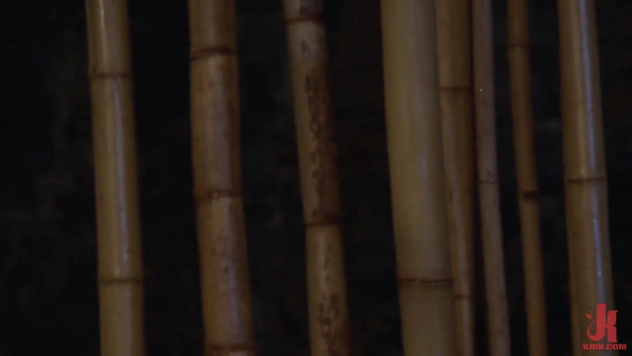 House Dom Connor Maguire's Extreme Torment and Ass Breach