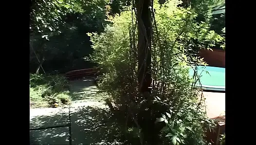 Küçük Tilki Testi