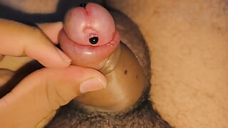 swelled penis or pumped penis