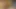 I' M Your Ladyboy Slutty Whore... Fuck My Wet Ass and Cum in My Hot Mouth!! Vol 2