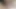 kedi ile kedi boşalan için yakın çekim