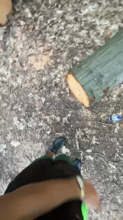 Quick flash in the woods