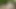 HUNT4K. Blonde made her boyfriend cuckold and enjoyed the amateur outdoor fuck