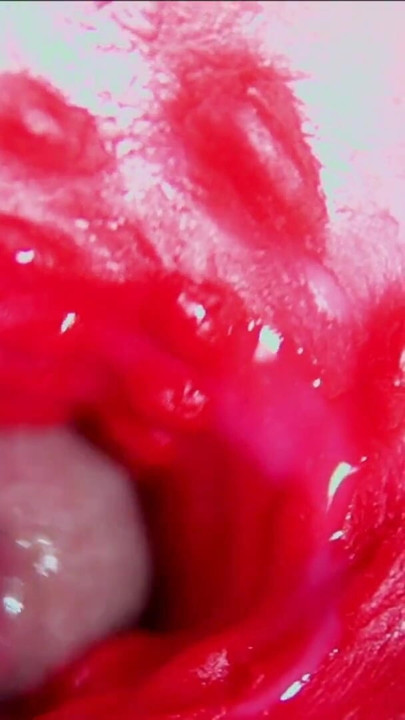 Juicy beautiful pussy squelches inside ASMR close-up inside the anus | Clip 3