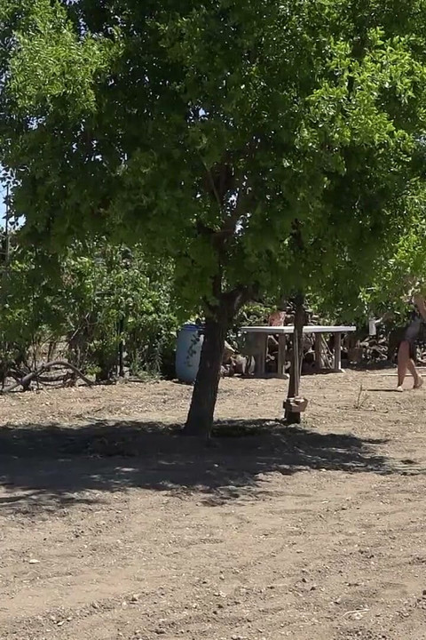 Blonde MILF is draining guy's hard cock outdoors