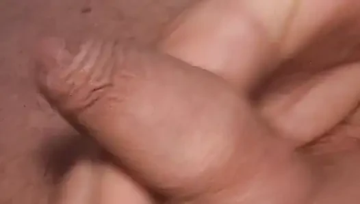 Schwanz sperma