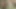 White boy fucks horny native in the ass at the forest