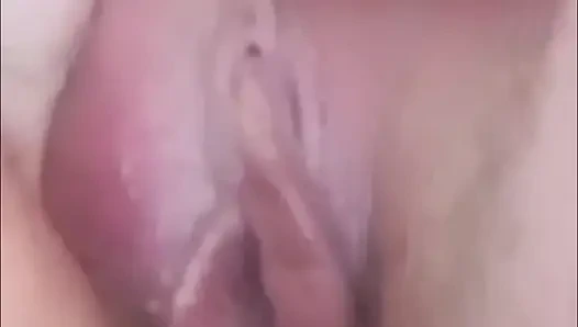 He shows his shell up close