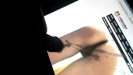 Casus çift için haraç