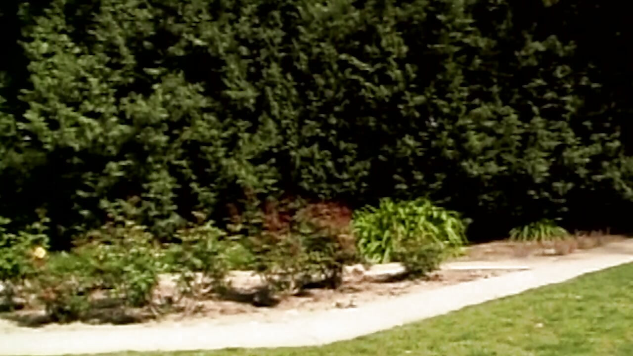 dunkle Lust kennt kein Limit mehr wenn Lust alles übernimmt