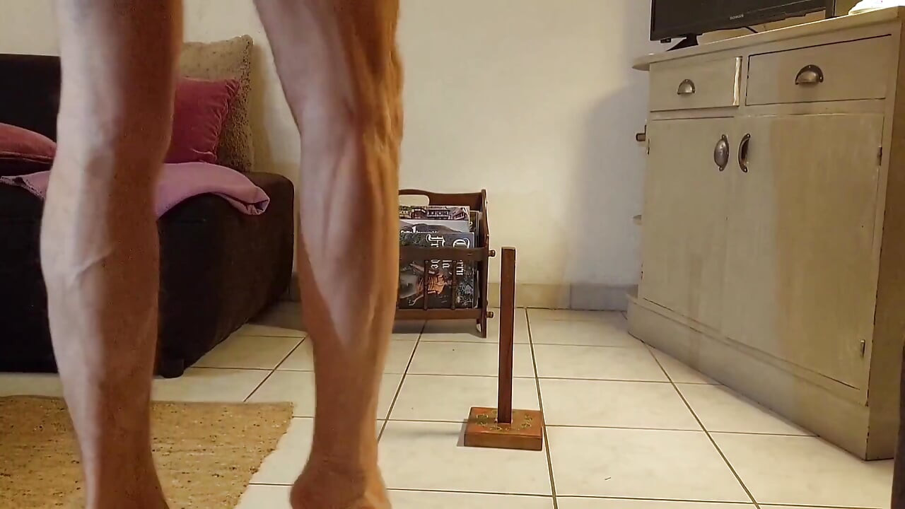 Fan Videos