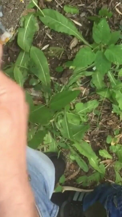 Sokakta dar bir deliğe sert sikme, büyük yaraklardan boşalmak için! | Bölüm 3