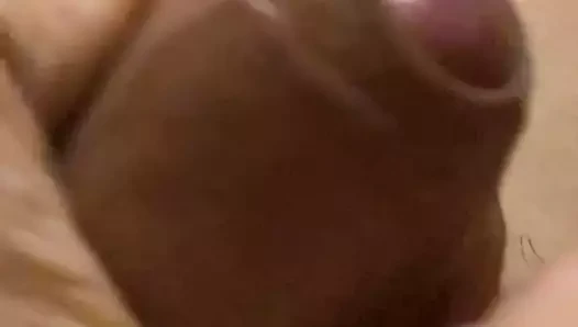 Asya küçük horoz yakın yukarı yavaş hareket