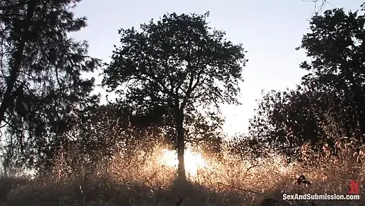 Мель