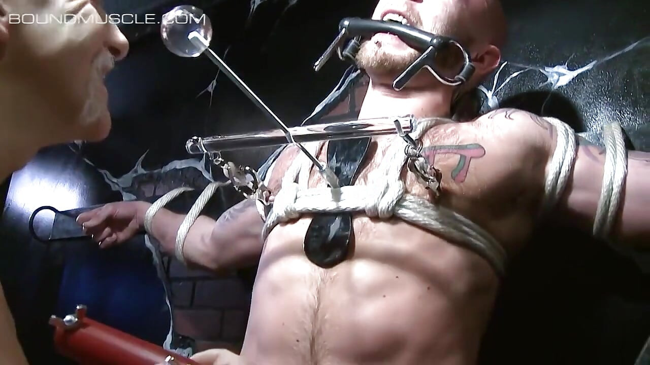 Painful Predicaments - Part 4