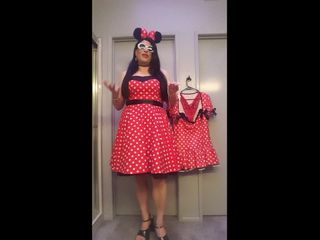Oud Minnie Mouse -kostuum versus nieuw Minnie Mouse -kostuum