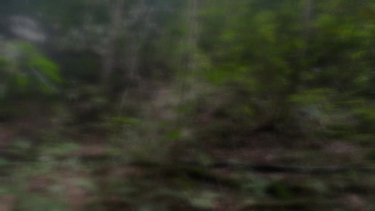 我和害羞的继妹一起去树林里徒步旅行，最后我们狠狠地操逼，直到我射在她的屁股上