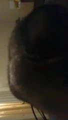 Fat Bear Sucks Me Off
