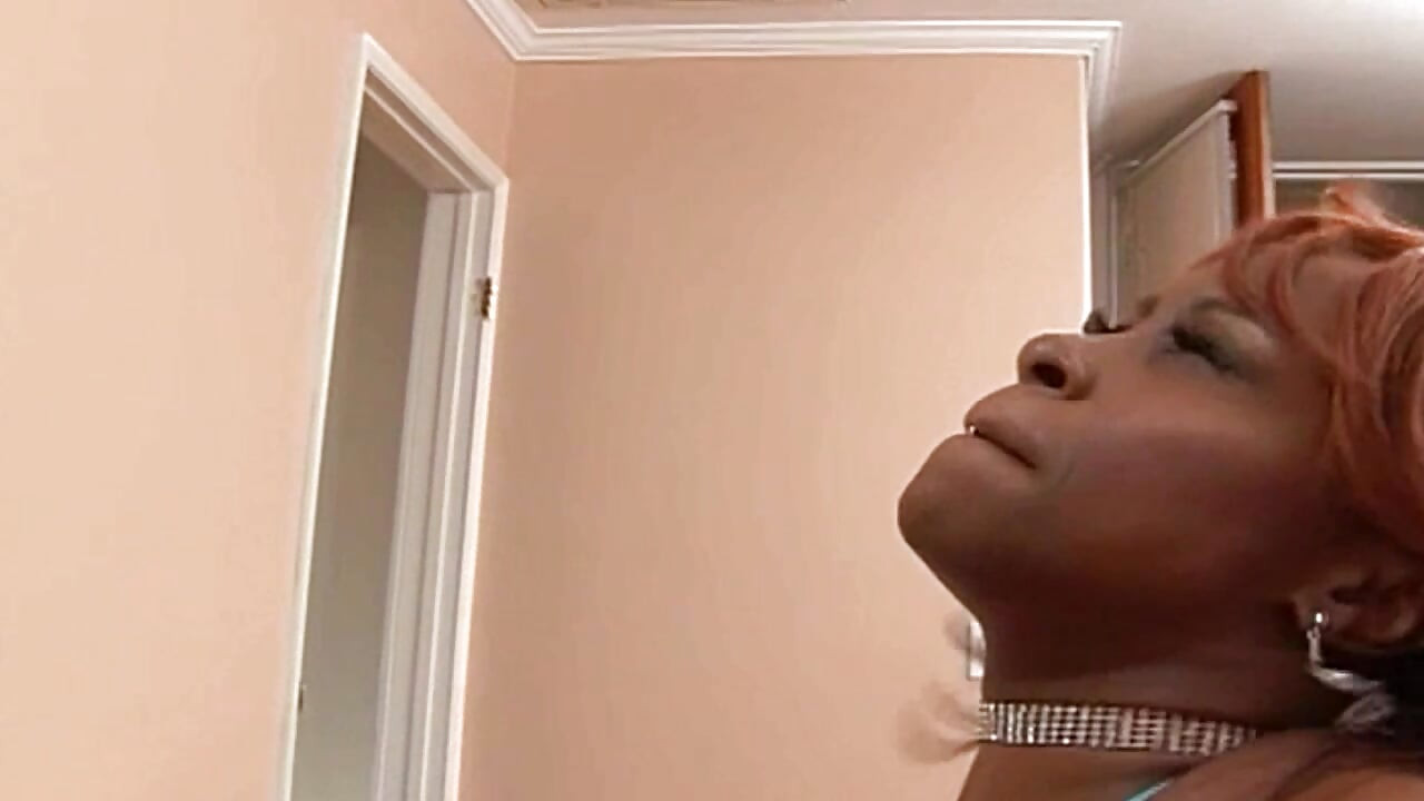 الديك الأسود الكبير يدمر كس أسود لعاهرة بشعر ملون
