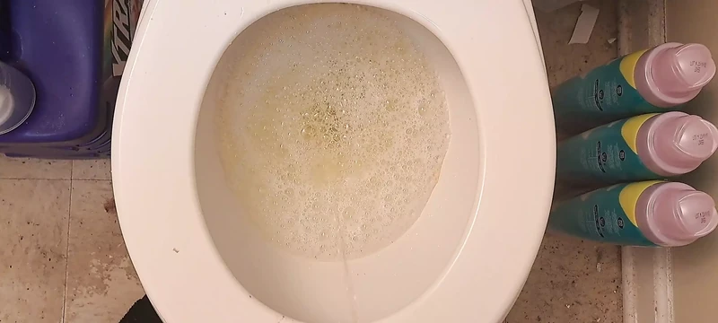 Your mouth is my toilet