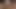 Meri PNG Blowjob