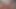 7 island domain - all available fuck scenes