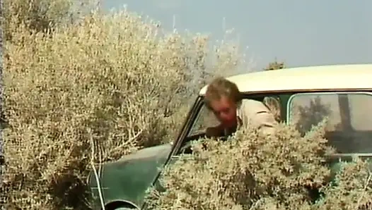 Ateşli sürtüklerle klasik Alman anal sahnesi