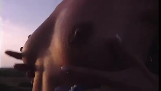 Two Horny Are Enjoy Licking Kissing to Each Other
