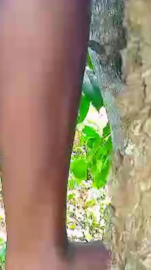 Teen Solo female masturbation with wet tight pussy in the bush, she missed hardcore fuck and enjoyed self sexual pleasure | Clip 1