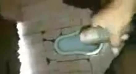 my cock