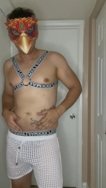 Phoenix Reloaded