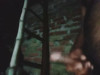 Pratinjau video