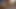 Bi-sexuelle Schätzchen in weißen Flitterwochen-Dessous