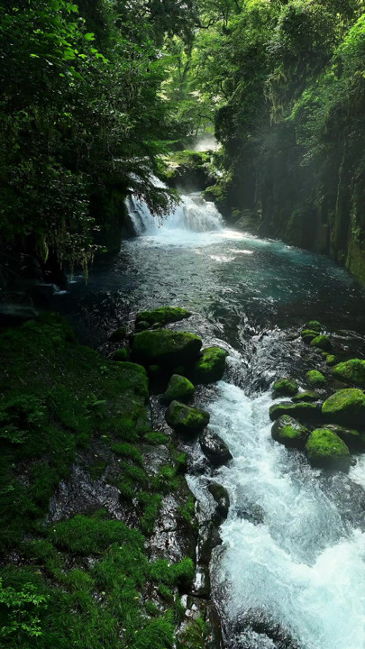 Banyo odası