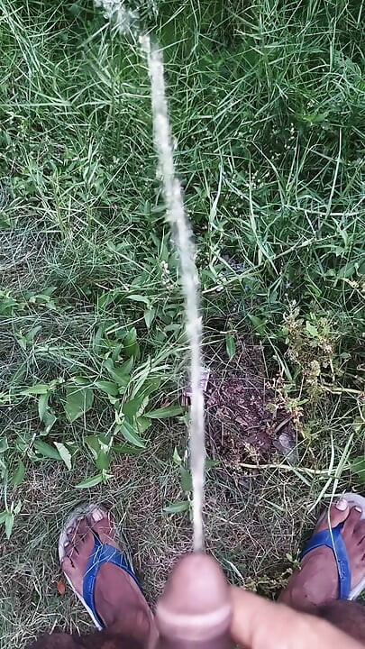 Este a mező közepén pisilek