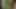 Bhabe love Debor Dick to Blowjob xxx